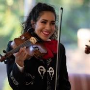 微笑的女人 holding a violin
